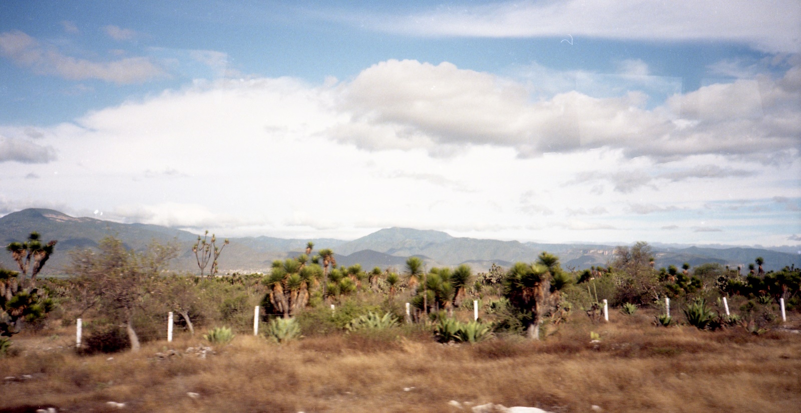 19961112 004   MC Oaxaca   Mexico Film 03 Fnr 033
